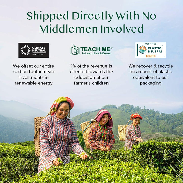 VAHDAM, ceai verde din Himalaya (30 pliculețe de ceai piramidale) 100% pur și aromat | Ceai verde natural cu frunze întregi | Proaspăt și direct de la sursa din India | Se prepară fierbinte sau rece