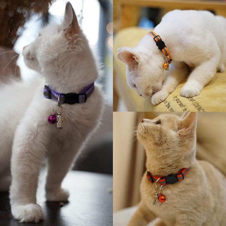Zgardă reflectorizantă pentru pisici, 12 bucăți, cu nume și adresă și închidere de siguranță, zgardă reglabilă pentru pisoi, accesorii personalizate pentru animale de companie (12 culori și 2 etichete de identificare)