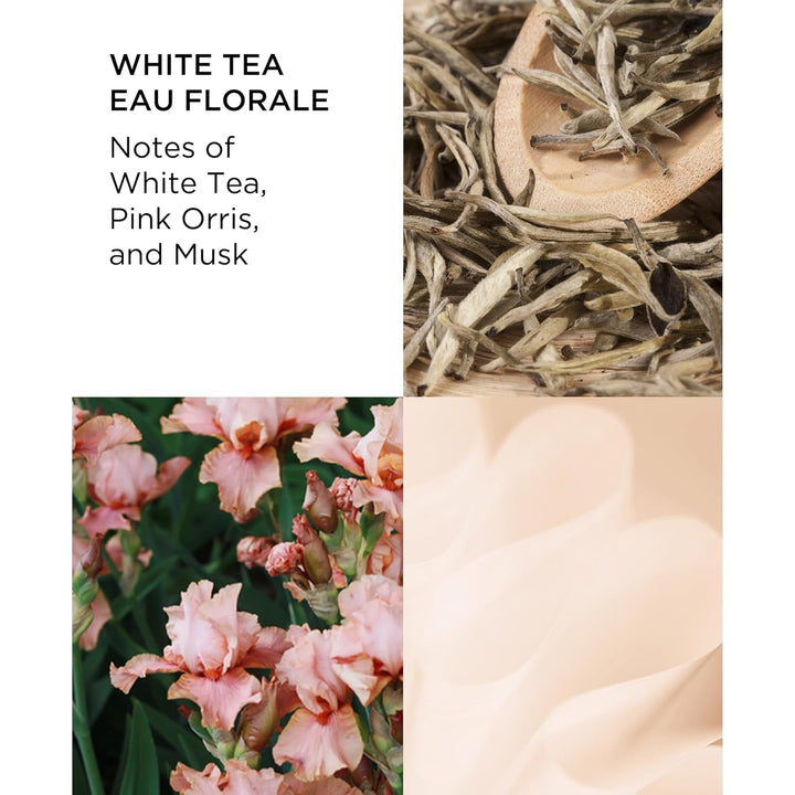 Elizabeth Arden - White Tea Eau Florale Eau De Toilette, Parfum Feminin și Delicat, Cu Flori Frumoase și Ingrediente Bogate - Parfum pentru Femei - 50 ml