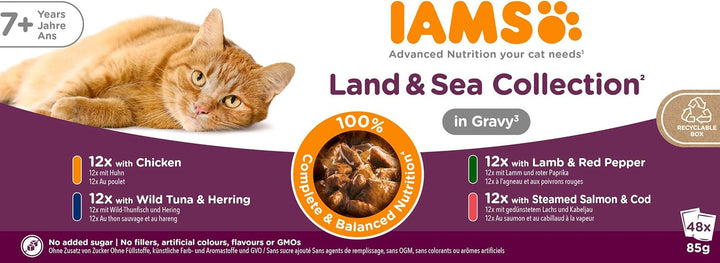 IAMS Delights Senior Cat Food Wet - Multipack cu pui și pește în sos, hrană umedă de înaltă calitate pentru pisici bătrâne de la 7 ani, 12 X 85 G
