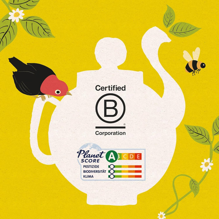 Set de ceaiuri bio Cupper Delicious Variety, 20 sortimente diferite de ceaiuri din plante și fructe, 20 pliculețe de ceai nealbite