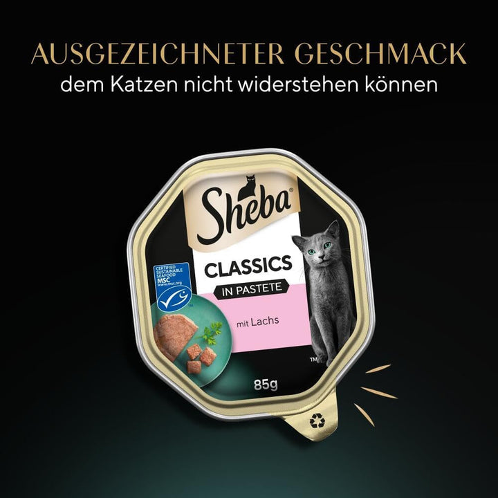 SHEBA Bowl Hrană umedă pentru pisici Clasici în pateu cu somon 2 X 11 X 85G