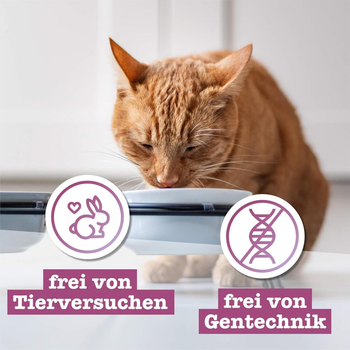 Catz Finefood Classic Collection Cat Food Wet XXL Mix Pack - Hrană umedă gourmet pentru pisica dvs. fără zahăr și cereale, fără gluten - cu conținut ridicat de carne, fabricată în Germania (12 X cutii de 400G)