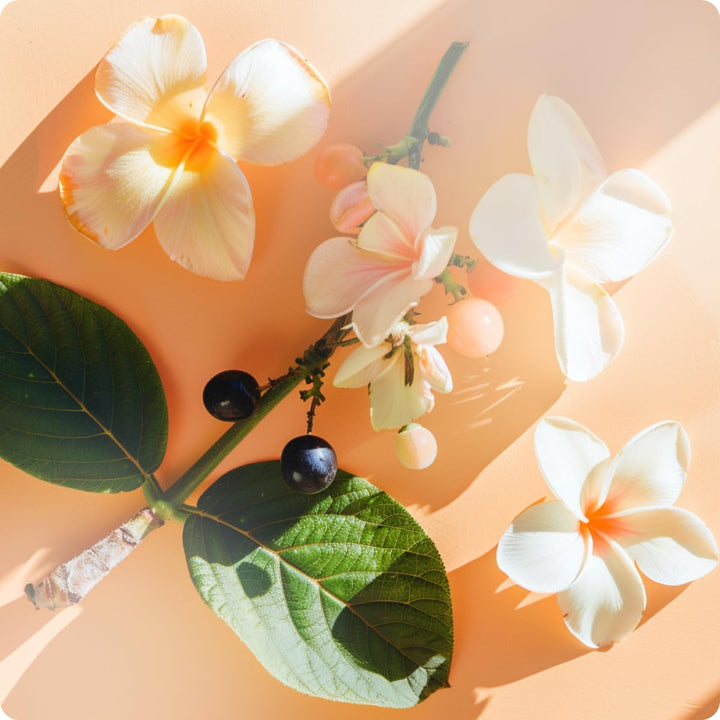 Elie Saab Girl of Now Lovely 30 ml – Apă de parfum pentru femei – Parfum floral gurmand – Note strălucitoare de mandarină, pară, floare de migdal și boabe de tonka – Sticlă transparentă