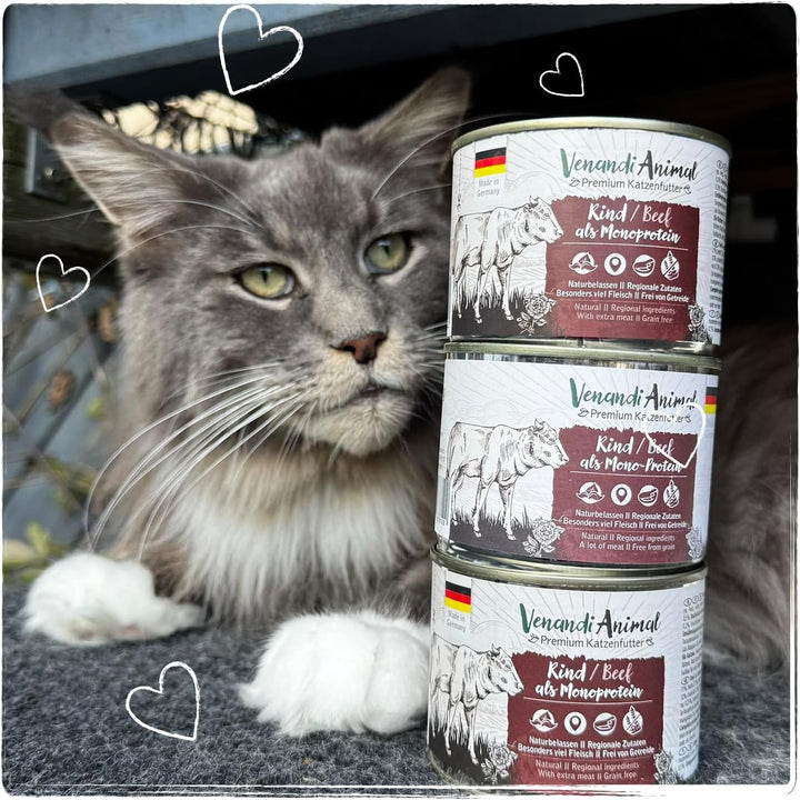 Venandi Animal - Hrană umedă premium pentru pisici - Beef as monoprotein 6-pack (6 X 400 G), fără cereale, monoproteină