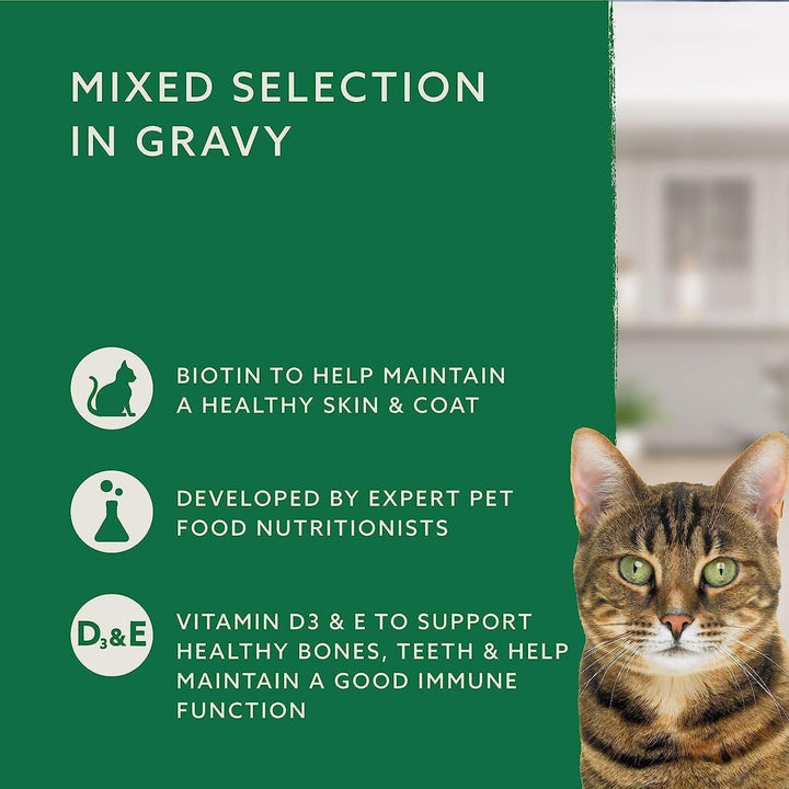 By Amazon Hrană pentru pisici, umedă, pentru pisici adulte, Mixed Choice in Sauce, 4.8Kg (48 pachete de 100G)