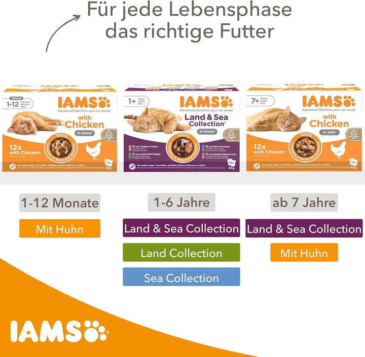 IAMS Delights Kitten Hrană umedă - Multipack Hrană pentru pisici cu pui în sos, hrană de înaltă calitate pentru pisoi junior de la 1-12 luni, 12 X 85G