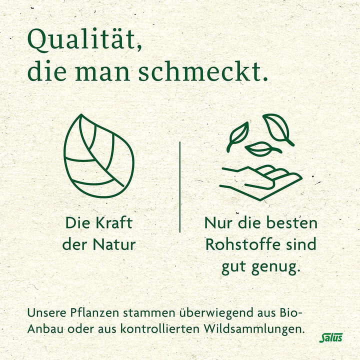 Salus - Ceai de măceșe și malva - 1X 15 pliculețe filtru (45 g) - Ceai de fructe - Compoziție din măceșe și flori de hibiscus african - Răcoritor - Bio