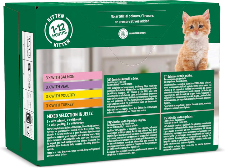 By Amazon Hrană pentru pisici, umedă, pentru pisici tinere, selecție mixtă în jeleu, 1,2Kg (12 pungi de 100G)